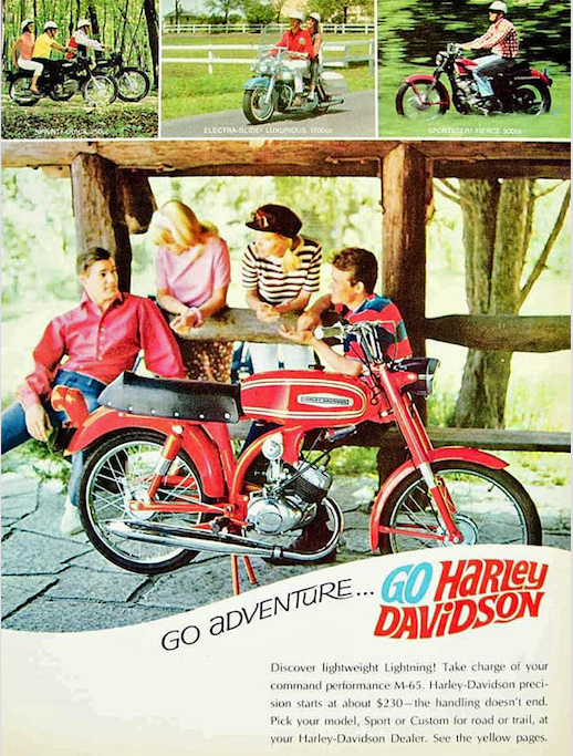 Harley M65